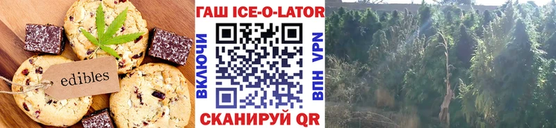 Купить где  Верхняя Салда  Cannafood конопля 