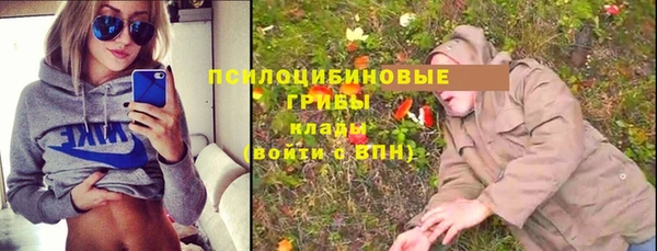 СК Бородино