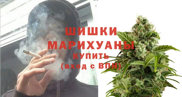 СК Бородино