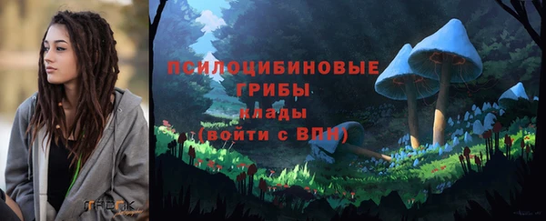 Альфа ПВП Няндома