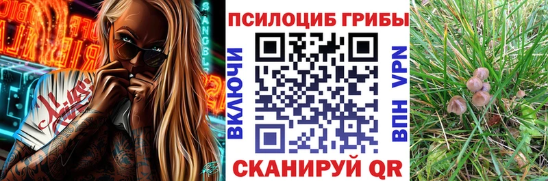 Купить закладки  Верхняя Салда  Галлюциногенные грибы мухоморы 