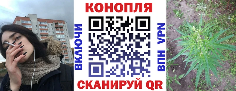 Конопля сатива  Купить  Верхняя Салда 